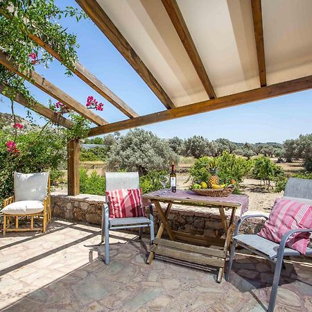 פליראקי Sunny Countryside Villa - With Private Pool מראה חיצוני תמונה